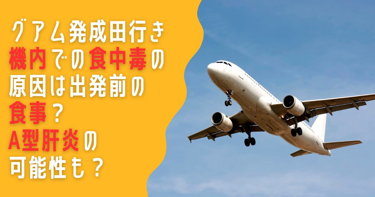 グアム　成田　機内　食中毒　高校生　修学旅行　原因　A型肝炎