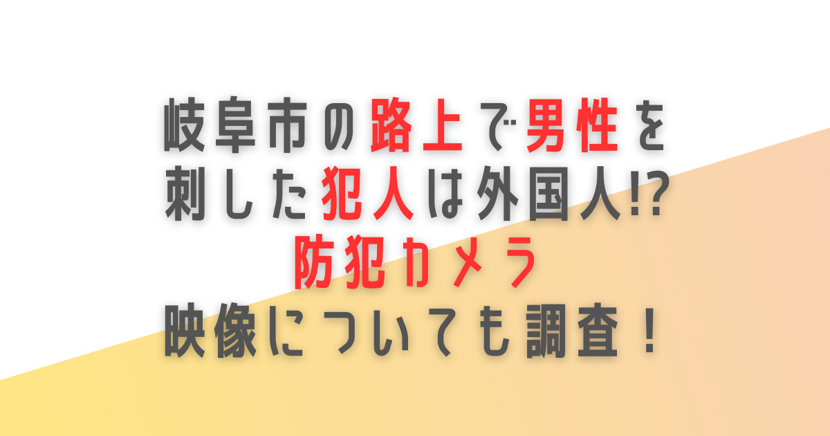 岐阜　路上　犯人　外国人　防犯カメラ　映像